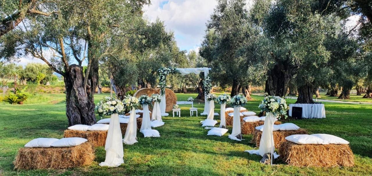 Uliveto Principessa Resort Cittanova  Esterno foto