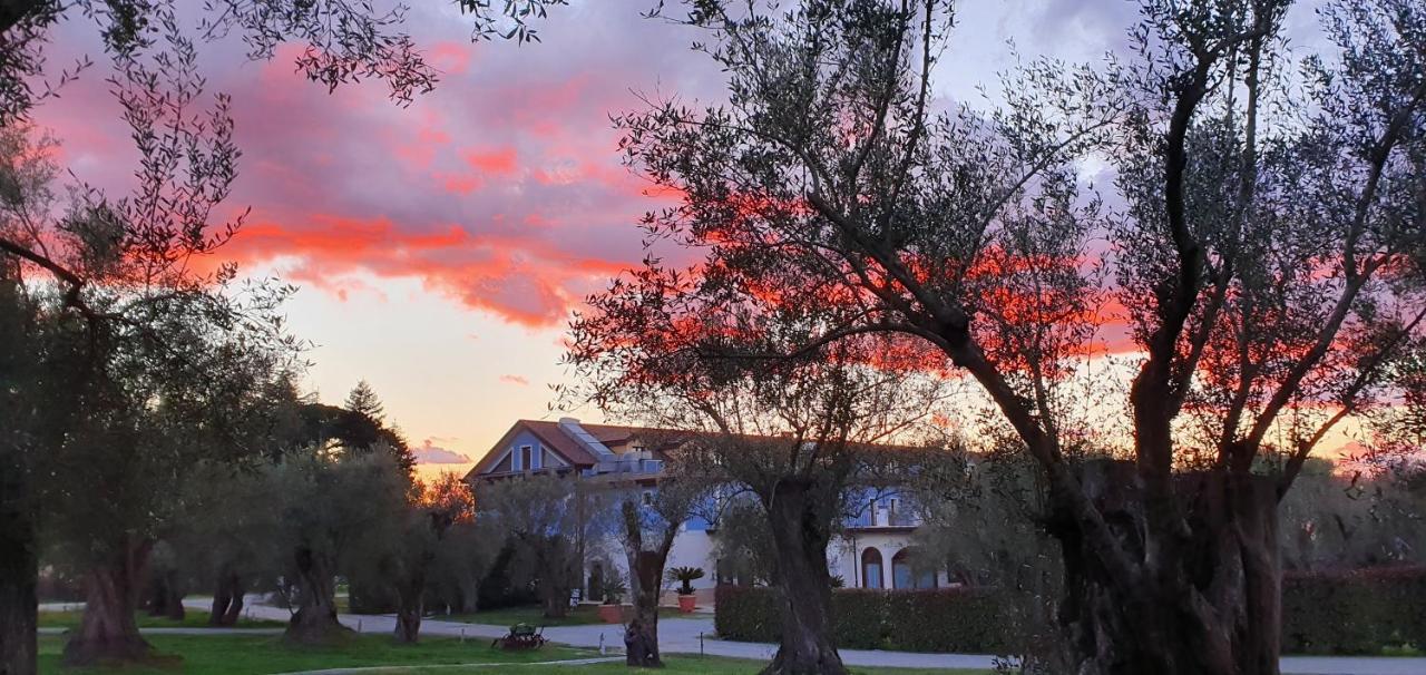 Uliveto Principessa Resort Cittanova  Esterno foto